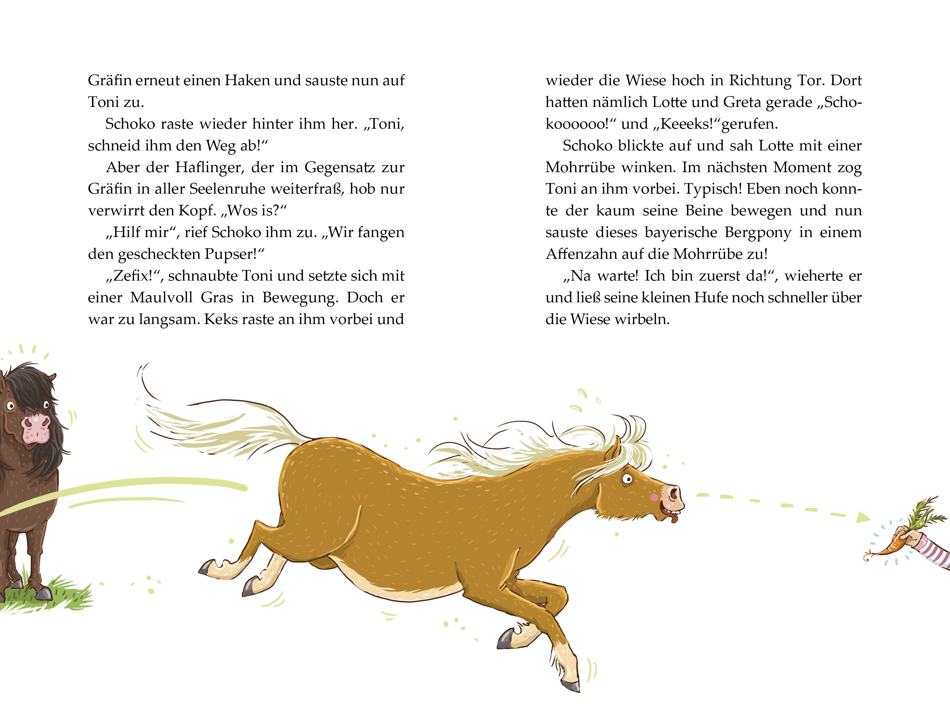  Die Haferhorde - Volle Mähne! Band 2 der lustigen Ponyabenteuer für Kinder ab 8  Suza Kolb 9783734840210 (4)