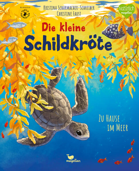  Die kleine Schildkröte - Zu Hause im Meer Bilderbuch mit erstem Sachwissen für Kinder ab 4 J Kristina Scharmacher-Schreib...