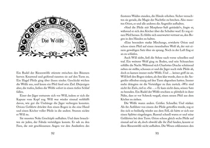  Fabula - Der Schatten der Nachtfee (Band 2) Band 2 Akram El-Bahay 9783833907692 Baumhaus Verlag (3)