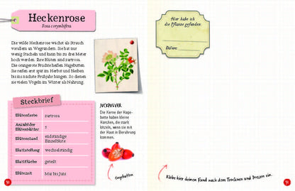  Flora &amp; Leo. Mein erstes Herbarium Christine Schreier 9783968080093 Sophie Verlag GmbH (11)