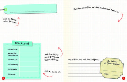  Flora &amp; Leo. Mein erstes Herbarium Christine Schreier 9783968080093 Sophie Verlag GmbH (14)