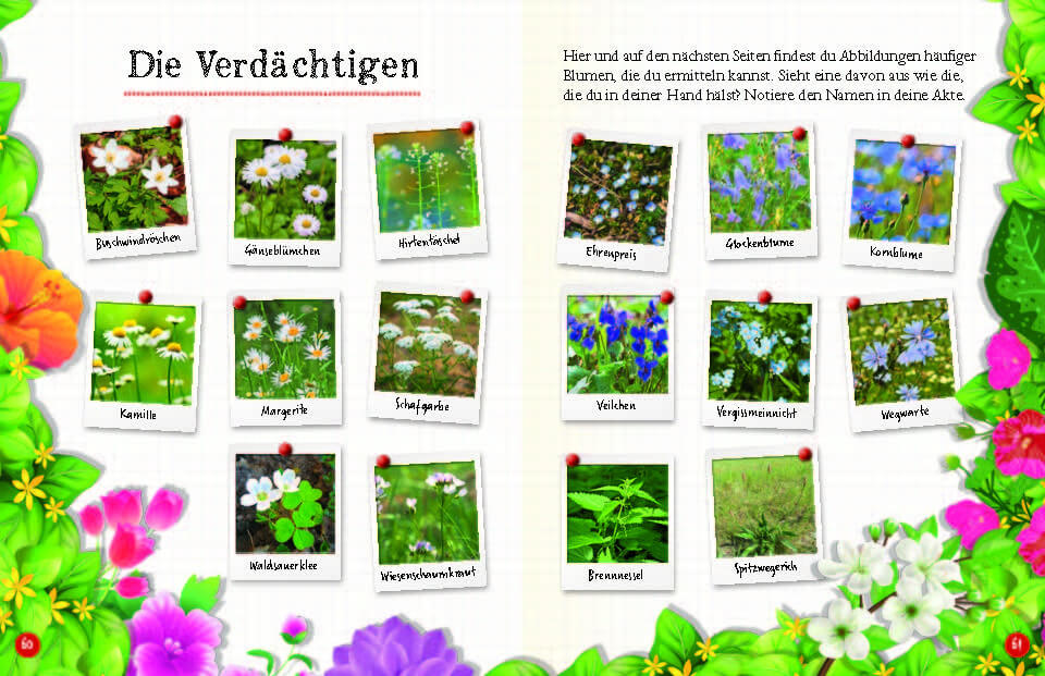  Flora &amp; Leo. Mein erstes Herbarium Christine Schreier 9783968080093 Sophie Verlag GmbH (16)