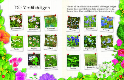  Flora &amp; Leo. Mein erstes Herbarium Christine Schreier 9783968080093 Sophie Verlag GmbH (16)