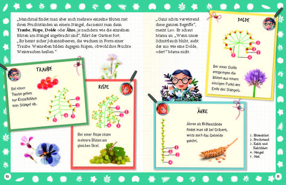  Flora &amp; Leo. Mein erstes Herbarium Christine Schreier 9783968080093 Sophie Verlag GmbH (7)