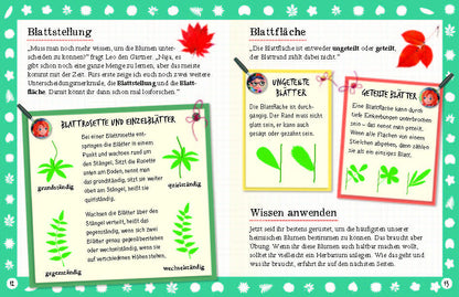  Flora &amp; Leo. Mein erstes Herbarium Christine Schreier 9783968080093 Sophie Verlag GmbH (8)