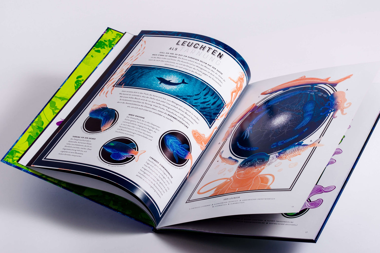  Glow – Das wundersame Leuchten der Natur Das Phänomen der Biolumineszenz mit wunderschönen  Jennifer N.R. Smith 978357018...