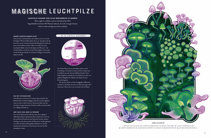  Glow – Das wundersame Leuchten der Natur Das Phänomen der Biolumineszenz mit wunderschönen  Jennifer N.R. Smith 978357018...