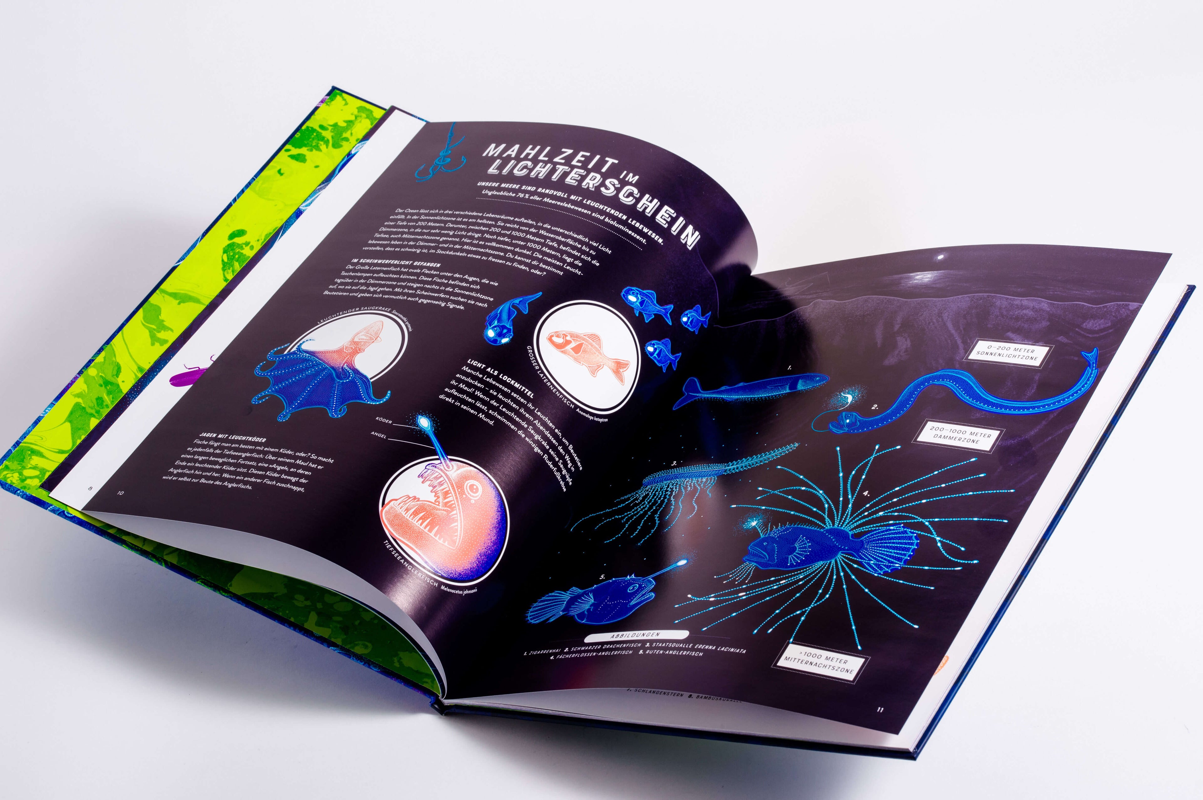  Glow – Das wundersame Leuchten der Natur Das Phänomen der Biolumineszenz mit wunderschönen  Jennifer N.R. Smith 978357018...