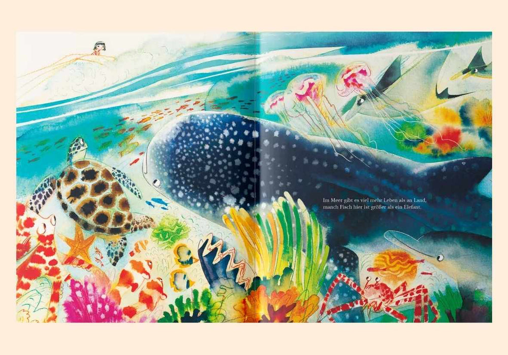 Buchvorstellung Herr Meer - Schönheit des Meeres - Räuberfuchs-Blog