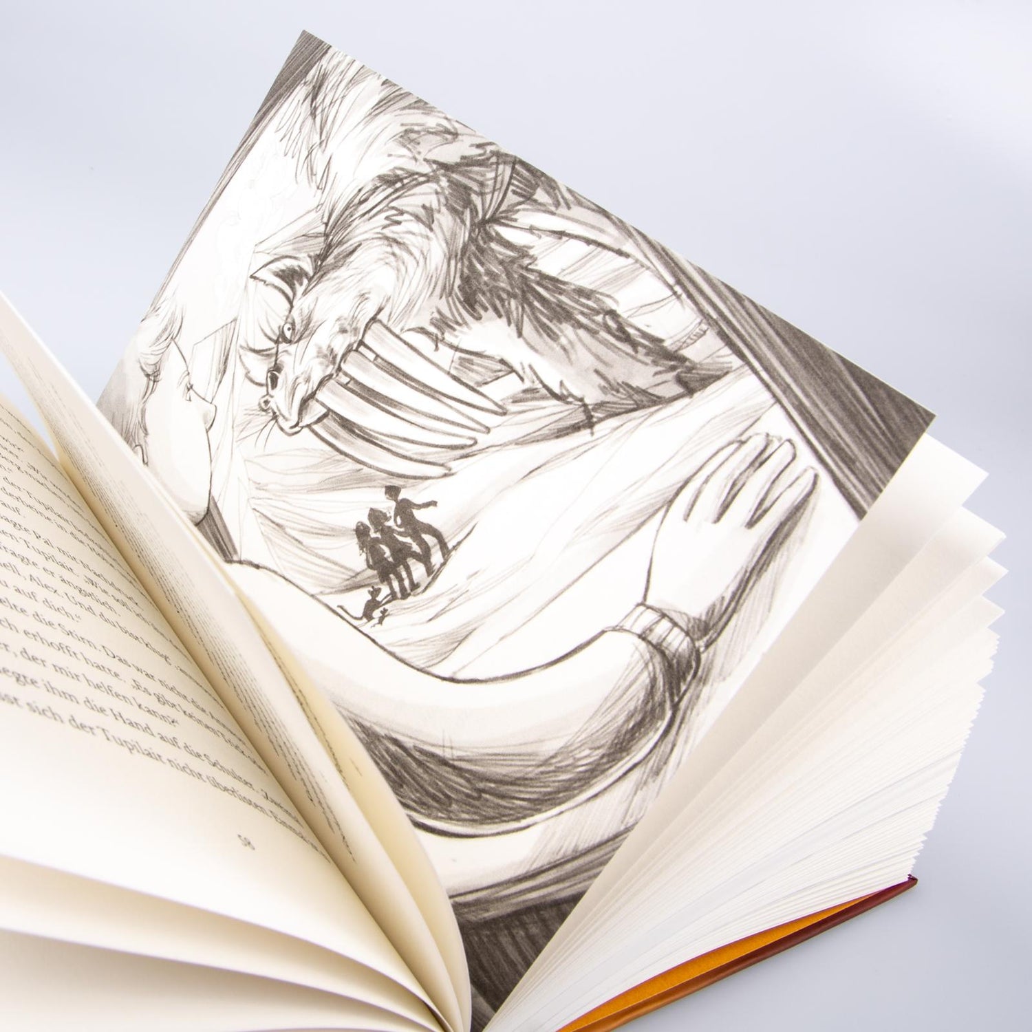  Im Zeichen der Zauberkugel 6: Die Macht des magischen Zirkels Stefan Gemmel 9783551651181 Carlsen Verlag GmbH (2)