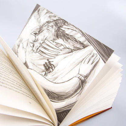  Im Zeichen der Zauberkugel 6: Die Macht des magischen Zirkels Stefan Gemmel 9783551651181 Carlsen Verlag GmbH (2)