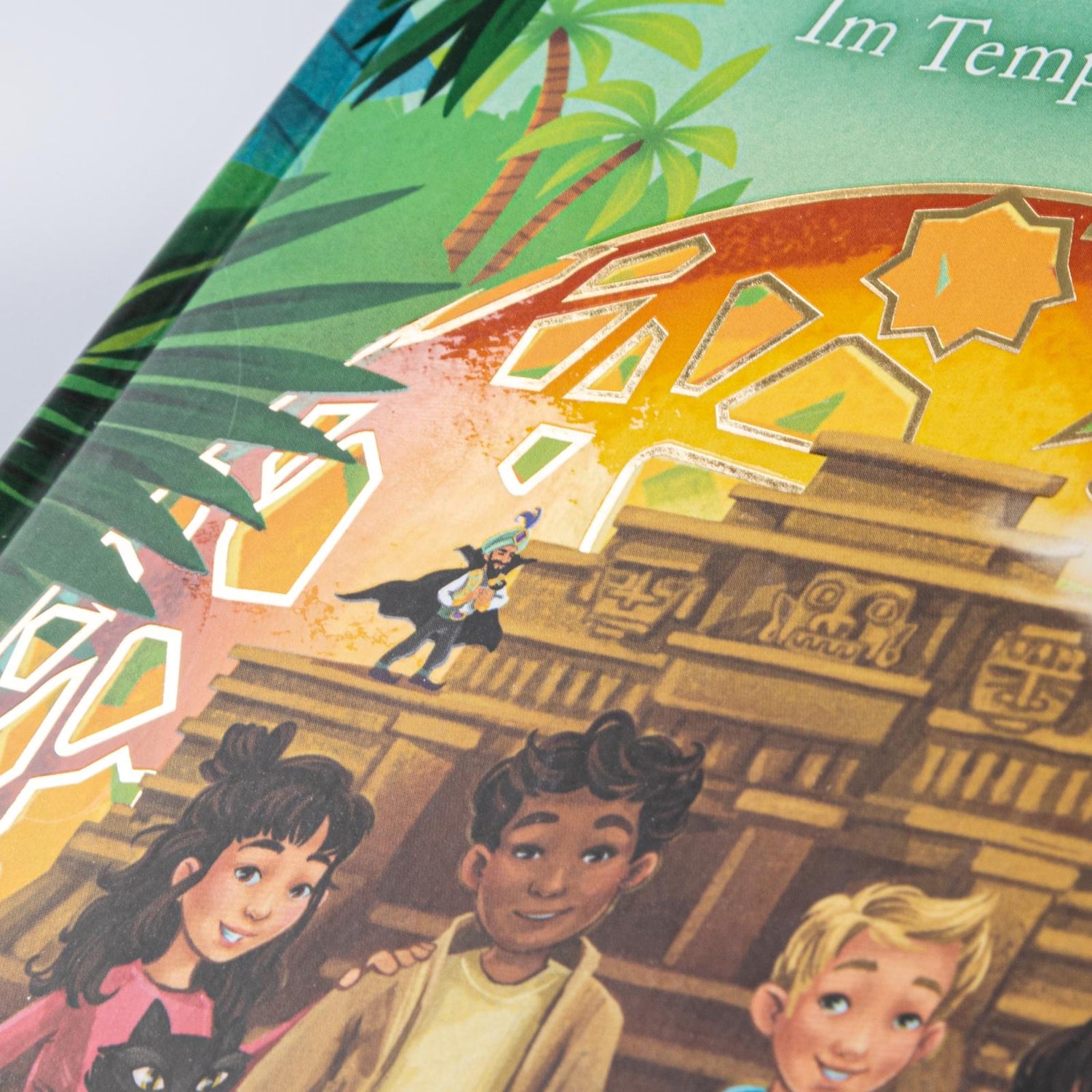  Im Zeichen der Zauberkugel 9: Im Tempel der Maya Stefan Gemmel 9783551651754 Carlsen Verlag GmbH (3)