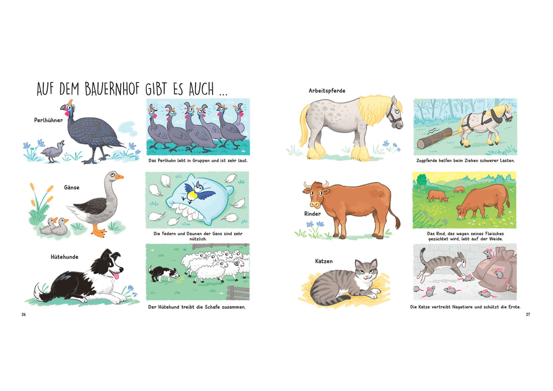  Kennst du die Tierkinder? - Sachbilderbuch für Kinder ab 3 Jahren 10 Tierkinder - zauberhaft illustriert. Zum Kennen Bass...