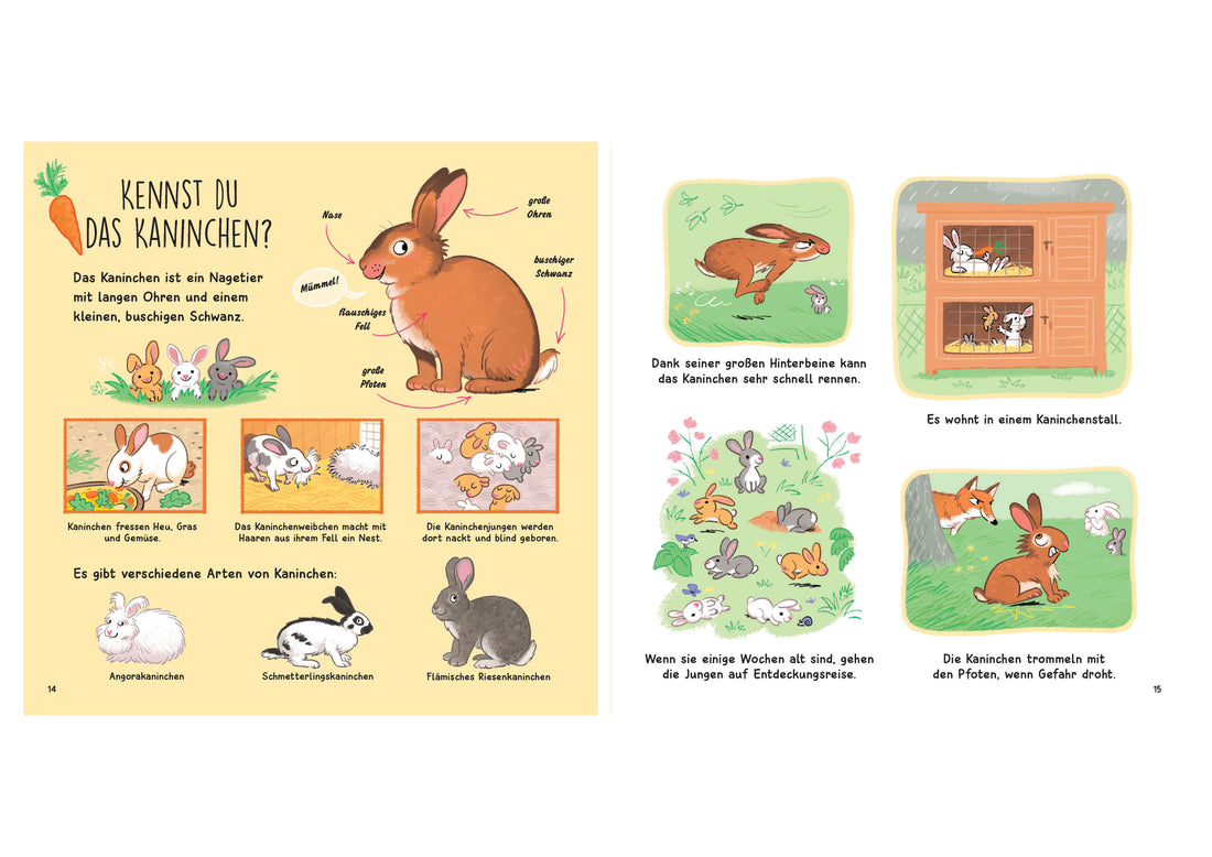  Kennst du die Tierkinder? - Sachbilderbuch für Kinder ab 3 Jahren 10 Tierkinder - zauberhaft illustriert. Zum Kennen Bass...