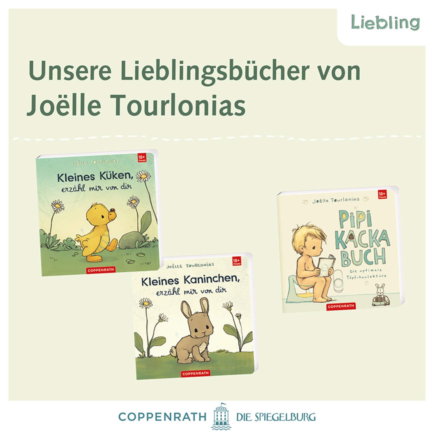  Liebling: Kleiner Waschbär, erzähl mir von dir Joëlle Tourlonias 9783649650232 Coppenrath Verlag GmbH &amp; Co. KG (3)