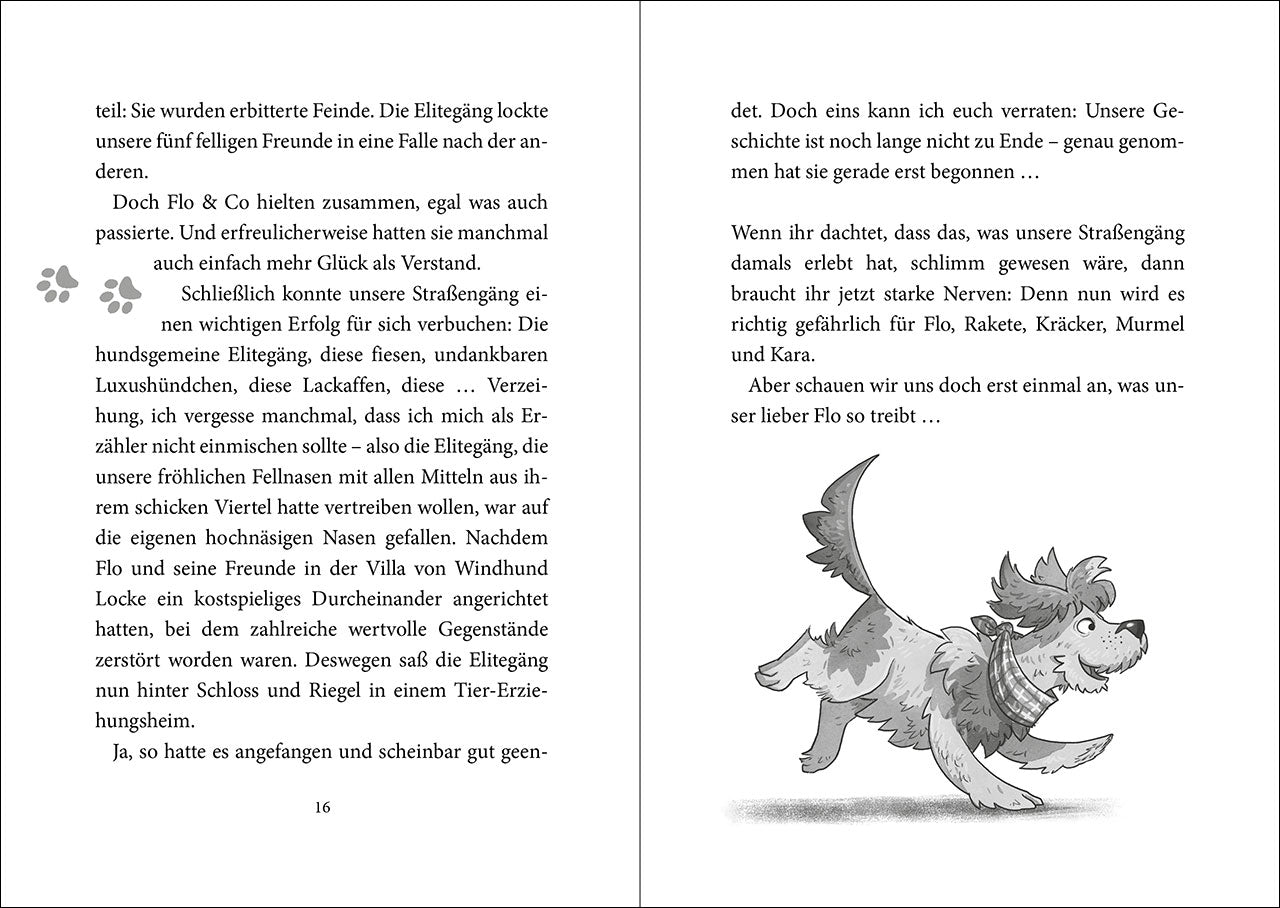 Loewe Verlag GmbH 978-3-7432-1512-2 Die Straßengäng (Band 2) - Gut getrickst ist halb gewonnen (3)