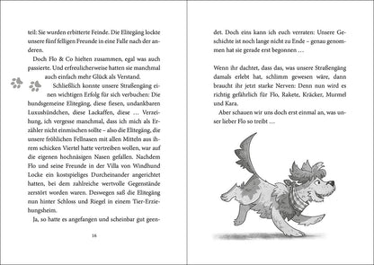 Loewe Verlag GmbH 978-3-7432-1512-2 Die Straßengäng (Band 2) - Gut getrickst ist halb gewonnen (3)