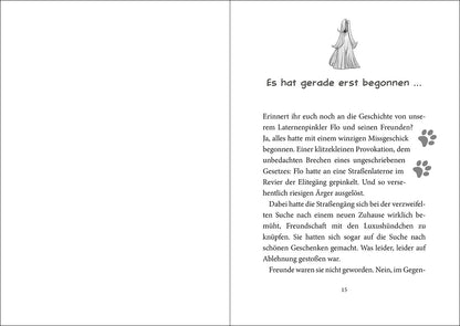 Loewe Verlag GmbH 978-3-7432-1512-2 Die Straßengäng (Band 2) - Gut getrickst ist halb gewonnen (4)