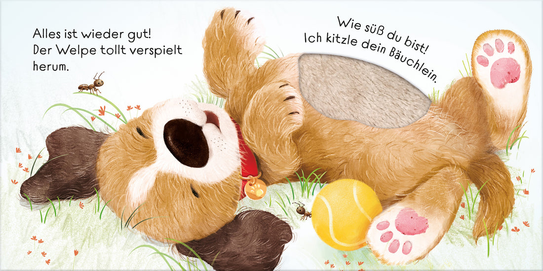 Mein Alles-wieder-gut-Streichelbuch: Ich tröste dich, kleiner Hund! Tröstebuch mit kuscheligen Fühlelementen – für Kin Us...