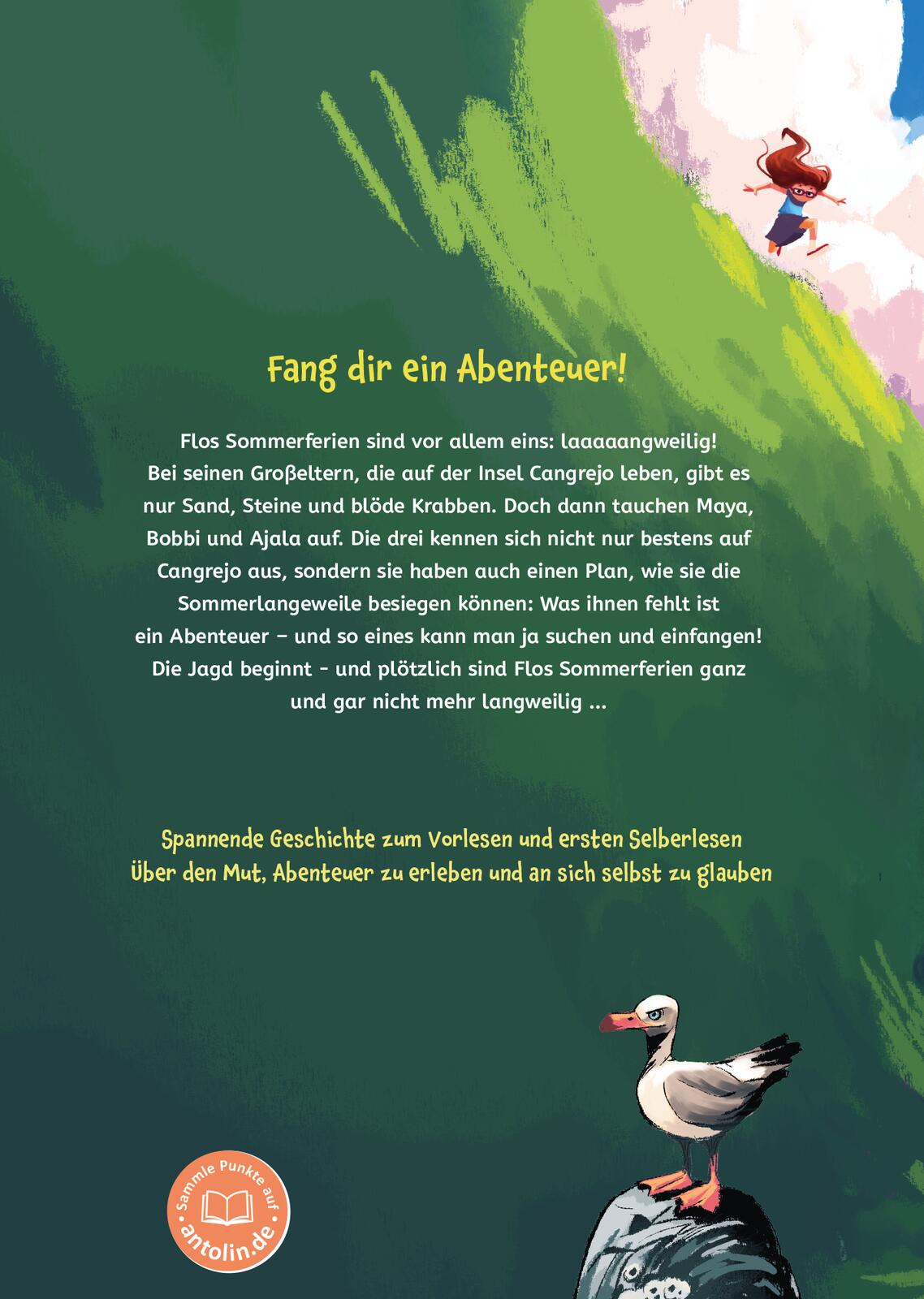  Meister des Abenteuers Das Geheimnis der Sommerinsel Falk Holzapfel 9783845859200 ArsEdition GmbH (2)