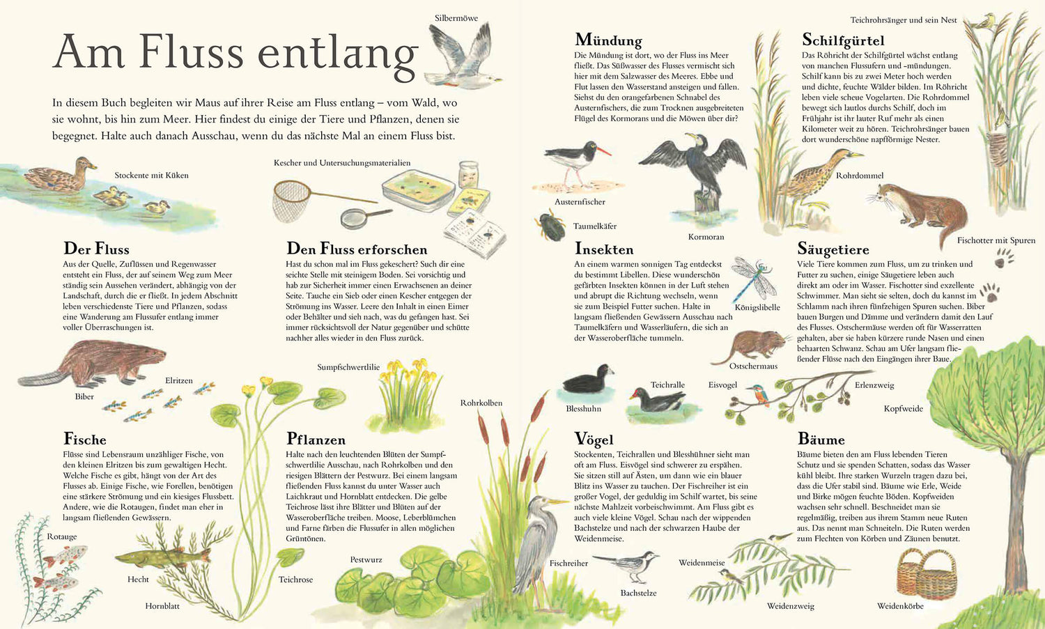  Mit Maus auf dem Fluss Alice Melvin 9783956145896 Verlag Antje Kunstmann GmbH (3)