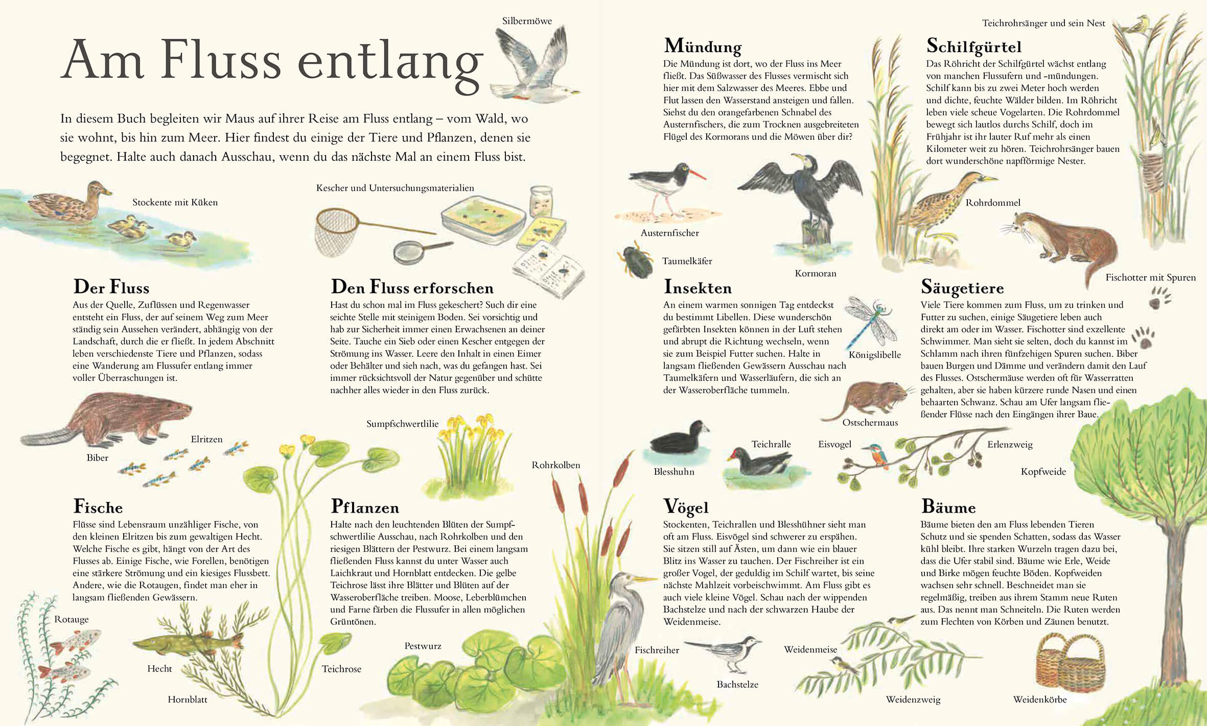  Mit Maus auf dem Fluss Alice Melvin 9783956145896 Verlag Antje Kunstmann GmbH (3)