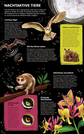  Tagaktiv/Nachtaktiv Erkunde die Tiere am Tag und in der Nacht - Wunder Michael Bright 9783743220942 Loewe Verlag GmbH (2)