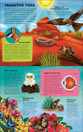  Tagaktiv/Nachtaktiv Erkunde die Tiere am Tag und in der Nacht - Wunder Michael Bright 9783743220942 Loewe Verlag GmbH (4)