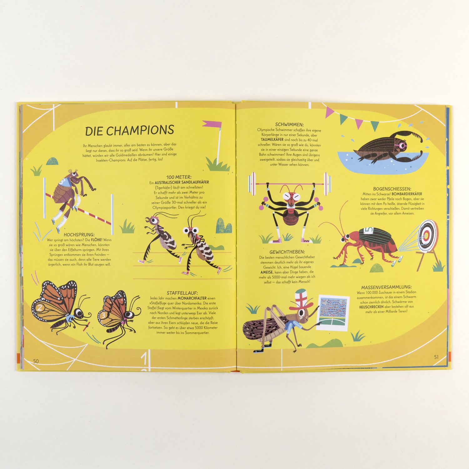  Respekt fürs Insekt Wir räumen auf, füttern und versorgen euch! Jules Howard 9783407759504 Verlagsgruppe Beltz (5)