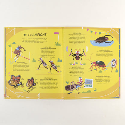  Respekt fürs Insekt Wir räumen auf, füttern und versorgen euch! Jules Howard 9783407759504 Verlagsgruppe Beltz (5)