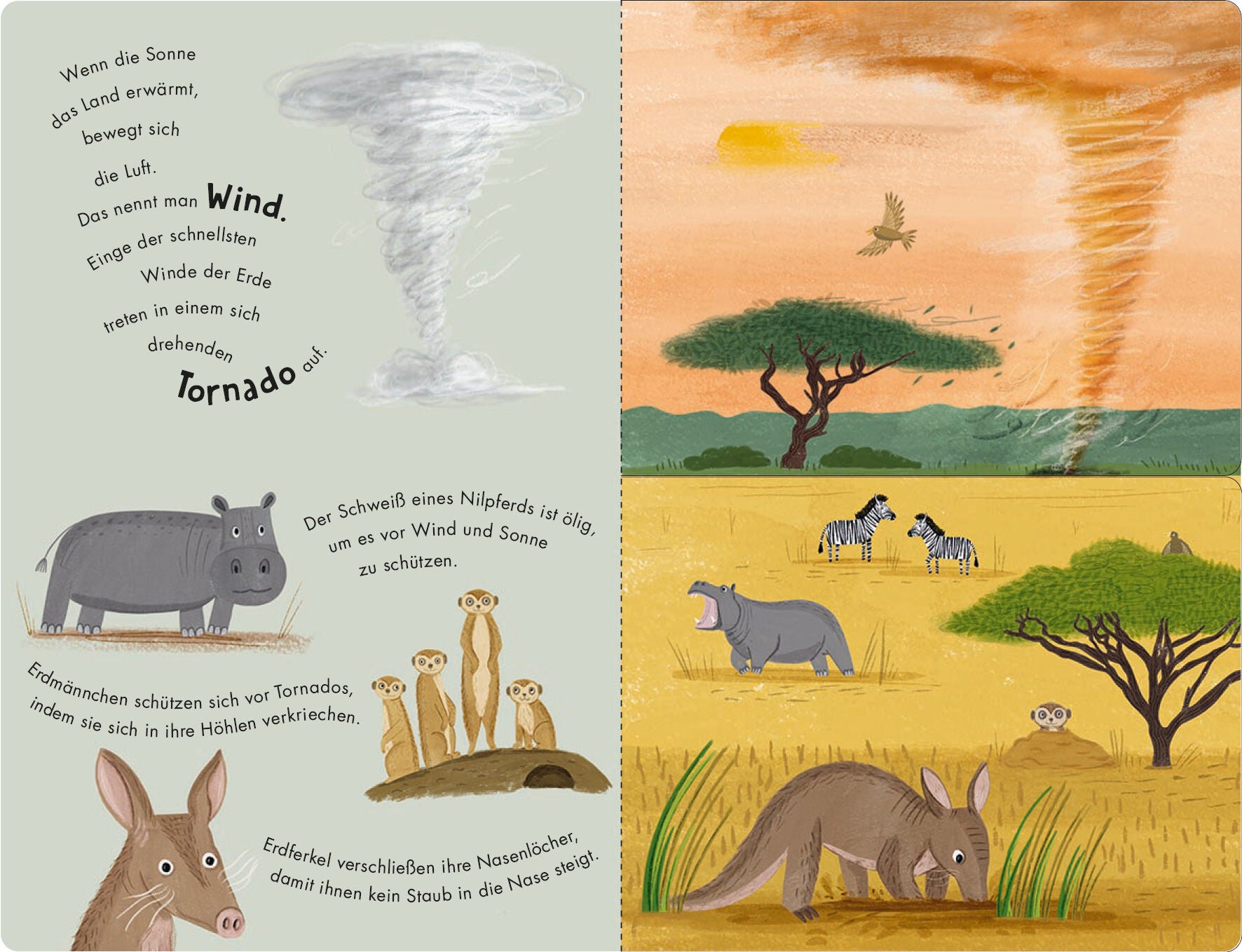  Sonne &amp; Regen - Ein Klipp-Klapp-Buch über die Natur und das Wetter Pappbilderbuch ab 2 ½ Jahren mit Klipp-Klapp-Seite (4)