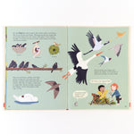  Tierische Wohnungen Das Leben da draußen Katrin Wiehle 9783407759238 Verlagsgruppe Beltz (5)