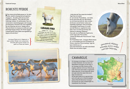  Verborgene Welt der Pferde Mythisches Tier und bester Freund Babette Pribbenow 9783968080185 Sophie Verlag GmbH (3)