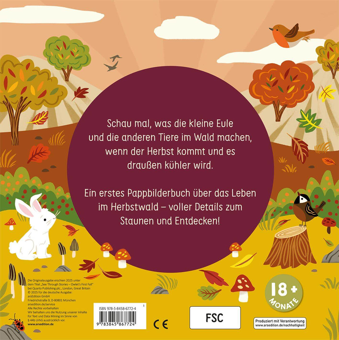  Was macht die Eule im Herbst? Johnny Barr 9783845867724 ArsEdition GmbH (2)
