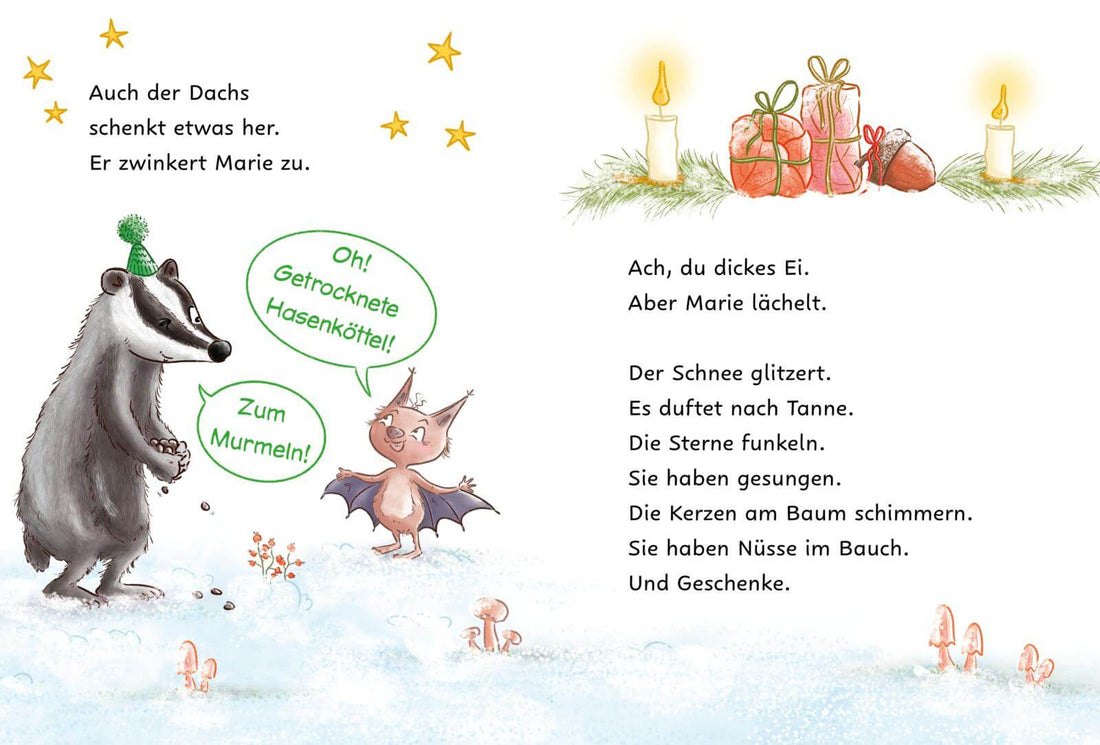 Weihnachten im Winterschlaf Einfach Lesen Lernen Katalina Brause 9783551691323 Carlsen Verlag GmbH (2)