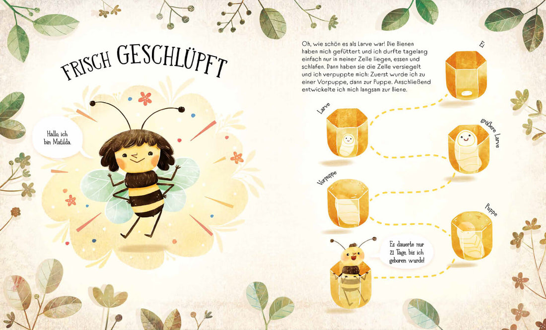  Wie Bienen leben. Matilda erzählt. Empfohlen ab 6 Jahren. Štĕpánka Sekaninová 9783735853561 frechverlag GmbH (2)