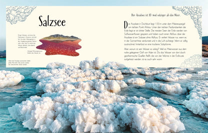  Wundervolle Welt. Erde Ein Natur-Bilderbuch für die ganze Familie. Hochwe Cally Oldershaw 9783831049172 DK Verlag Dorling...